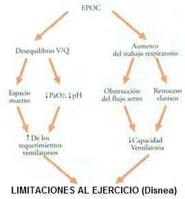 Limitación al ejercicio y la disnea en pacientes con EPOC Limitación al ejercicio y la disnea en pacientes con EPOC