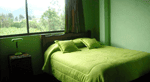 Green House Araque Inn