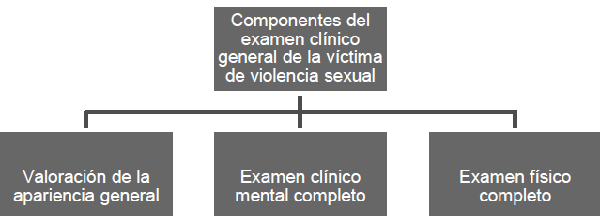 2.3 paso 4 diagrama