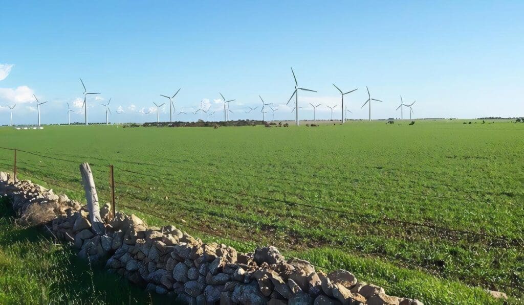 Análisis y Agronegocio de la Cadena de Algodón