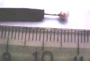 Bisturí endoscópico con punta de cerámica 
