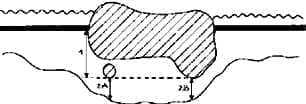 Capa muscular propia