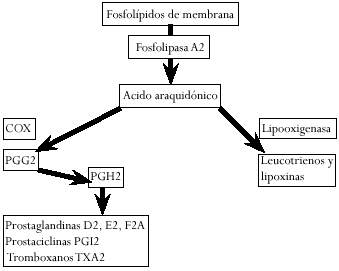 Fosfolípidos de membrana