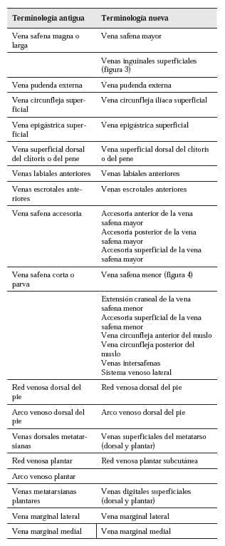 Terminologia vena safena mayor