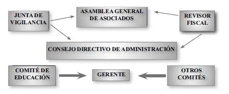 Estructura de las Cooperativas de Trabajo Asociado Estructura de las Cooperativas de Trabajo Asociado