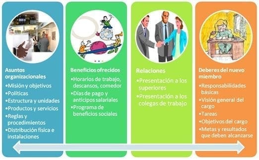 Programa de socialización