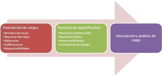 Diseño del cargos en la organización