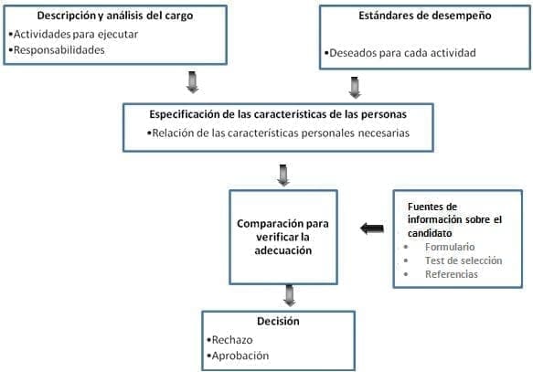 Proceso de selección del personal
