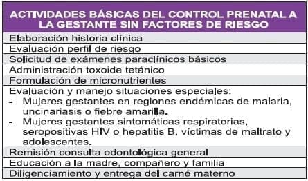 Actividades básicas del control prenatal 