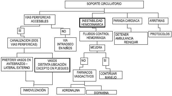 Soporte Circulatorio