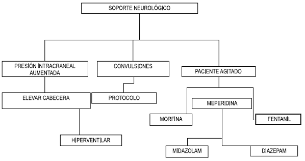 Soporte Neurológico