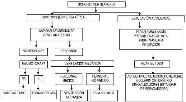 Soporte ventilatorio
