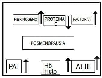 Estrogenos en la Menopausia