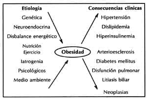 Lipoproteínas, Etiología de la obesidad