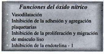 Estrógenos Naturales, Funciones del óxido nítrico Estrógenos Naturales, Funciones del óxido nítrico