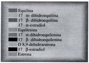 Estrógenos constituyentes