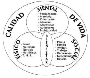 Componentes de la calidad de vida