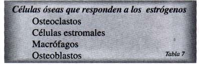 Células óseas que responden a estrógenos Células óseas que responden a estrógenos