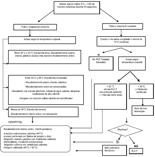 Tratamiento de hipotermia - Algoritmo 