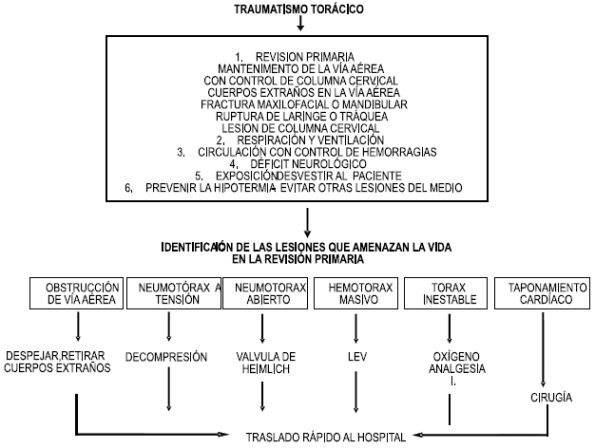 Traumatismo torácico - Identificación de lesiones