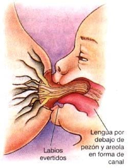 Forma de amamantar el bebe 2