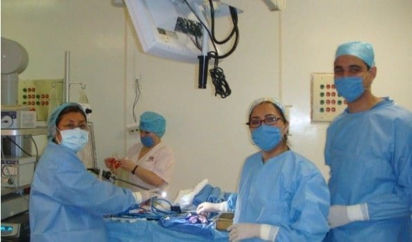 Tipo de Intervenciones para Prevenir la Dermatitis de Contacto Ocupacional