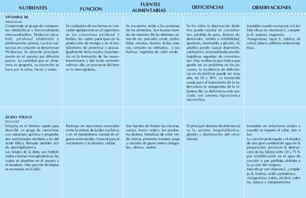 Tipos de nutrientes y funciones - fuentes