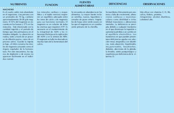 Nutrientes - guías alimentarias - fuentes