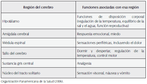 Regiones del cerebro en donde cannabinoides es moderada