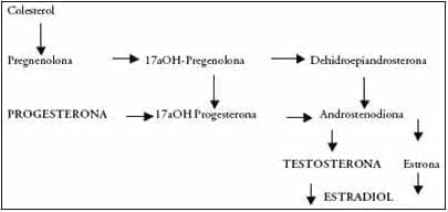 Terapia Hormonal de Suplencia – Modalidades Continuas