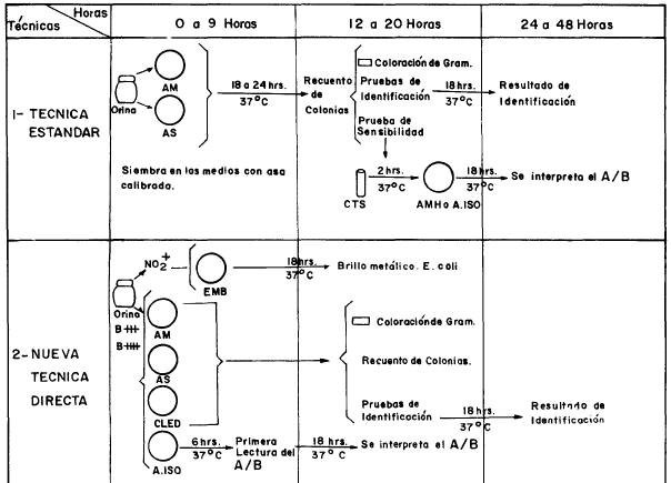 paración técnica antibiograma