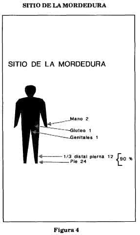 Sitio de mordedura