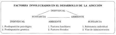Desarrollo de la adición