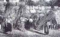 Indios recolectores de leña