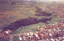 humedales-bog59