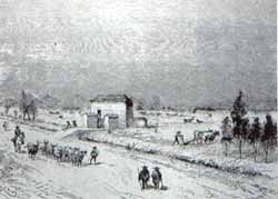 humedales-bog71