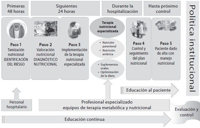 Modelo de cuidado nutricional Modelo de cuidado nutricional