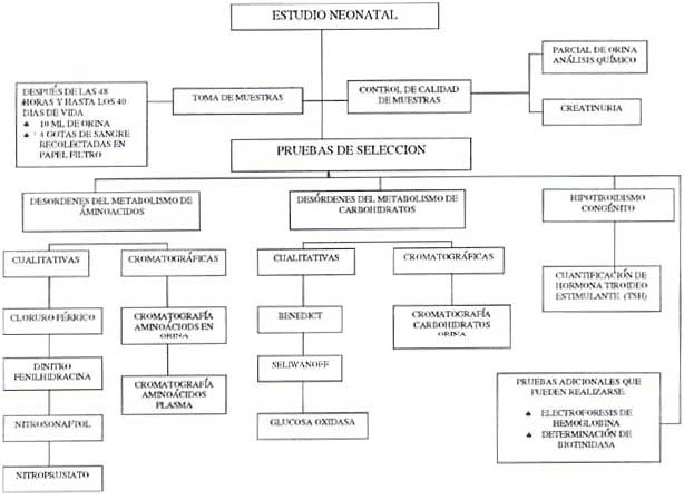 Estudio Neonatal