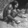 Homo Sapiens