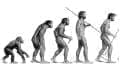 Vol 323 -Homo Sapiens