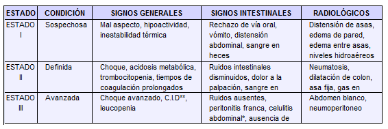 Adaptación para los lactantes