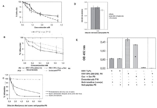 Infección de virus RRV a Células