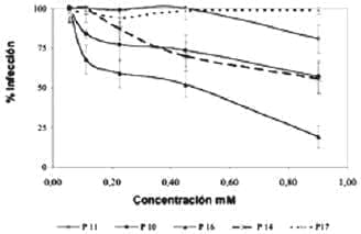 Infección de virus RRV a células