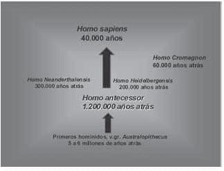 Homo sapiens