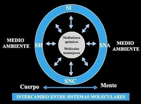 Intercambio entre sistemas moleculares