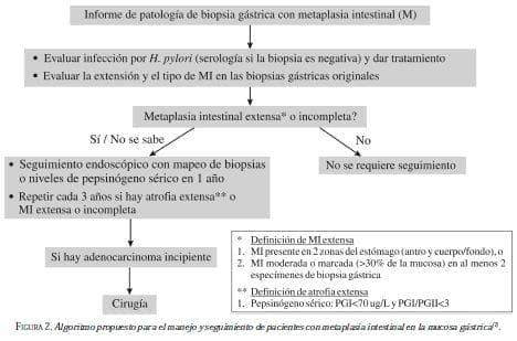 Algoritmo Propuesto para el Manejo Metaplasia