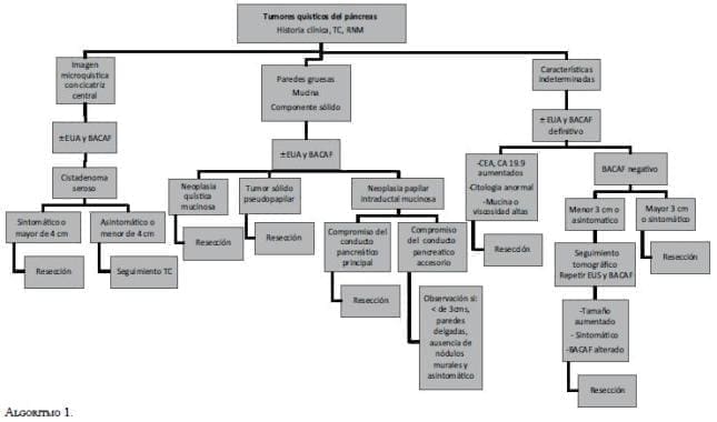 Tumores quísticos del Páncreas Algoritmo Tumores quísticos del Páncreas Algoritmo