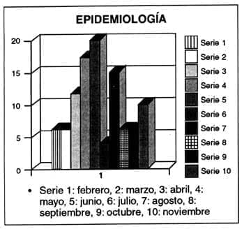 Epidemiología por meses