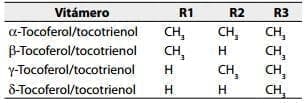 Sustituyentes del anillo aromático en la vitamina E