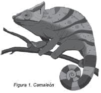 Efecto Camaleón